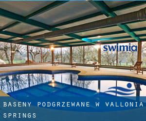 Baseny Podgrzewane w Vallonia Springs