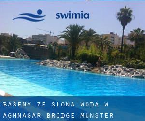 Baseny Ze slona woda w Aghnagar Bridge (Munster)