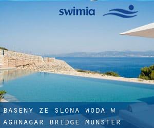 Baseny Ze slona woda w Aghnagar Bridge (Munster)