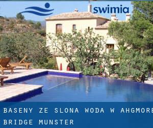 Baseny Ze slona woda w Ahgmore Bridge (Munster)