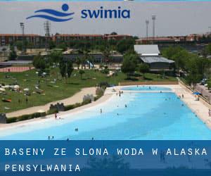 Baseny Ze slona woda w Alaska (Pensylwania)