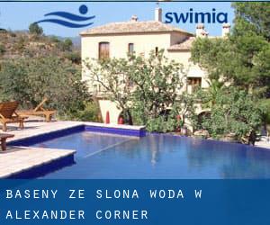 Baseny Ze slona woda w Alexander Corner