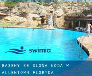 Baseny Ze slona woda w Allentown (Floryda)