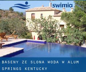 Baseny Ze slona woda w Alum Springs (Kentucky)