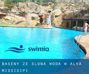 Baseny Ze slona woda w Alva (Missisipi)