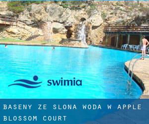 Baseny Ze slona woda w Apple Blossom Court