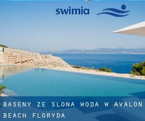 Baseny Ze slona woda w Avalon Beach (Floryda)