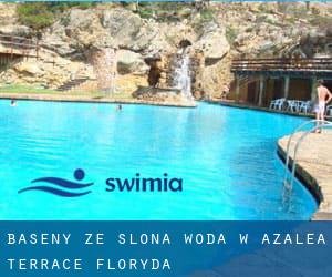 Baseny Ze slona woda w Azalea Terrace (Floryda)