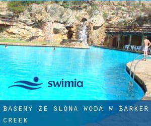 Baseny Ze slona woda w Barker Creek