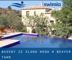 Baseny Ze slona woda w Beaver Town