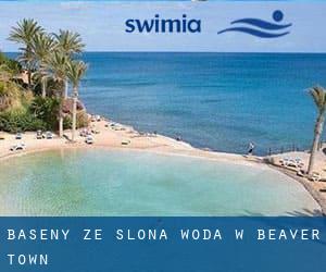 Baseny Ze slona woda w Beaver Town