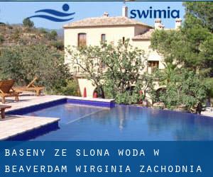 Baseny Ze slona woda w Beaverdam (Wirginia Zachodnia)