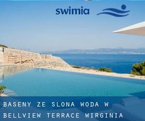 Baseny Ze slona woda w Bellview Terrace (Wirginia)