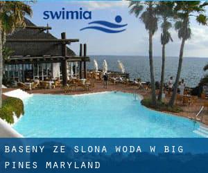 Baseny Ze slona woda w Big Pines (Maryland)