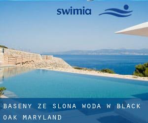 Baseny Ze slona woda w Black Oak (Maryland)