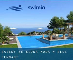 Baseny Ze slona woda w Blue Pennant