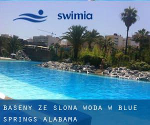 Baseny Ze slona woda w Blue Springs (Alabama)