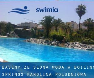 Baseny Ze slona woda w Boiling Springs (Karolina Południowa)