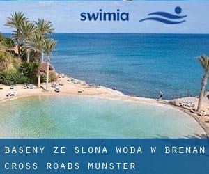 Baseny Ze slona woda w Brenan Cross Roads (Munster)