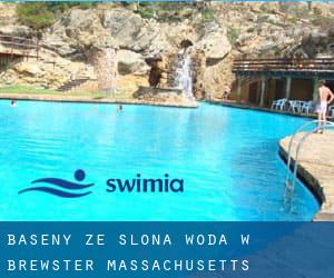 Baseny Ze slona woda w Brewster (Massachusetts)