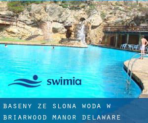 Baseny Ze slona woda w Briarwood Manor (Delaware)