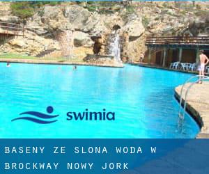 Baseny Ze slona woda w Brockway (Nowy Jork)