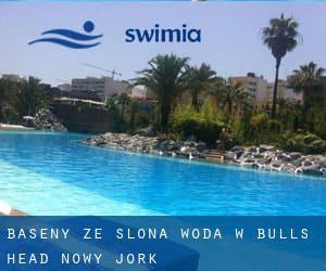 Baseny Ze slona woda w Bulls Head (Nowy Jork)