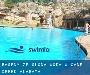 Baseny Ze slona woda w Cane Creek (Alabama)