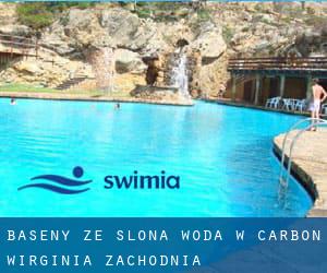 Baseny Ze slona woda w Carbon (Wirginia Zachodnia)