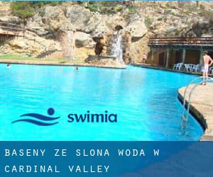 Baseny Ze slona woda w Cardinal Valley