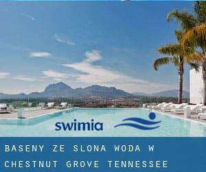 Baseny Ze slona woda w Chestnut Grove (Tennessee)