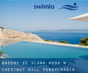 Baseny Ze slona woda w Chestnut Hill (Pensylwania)