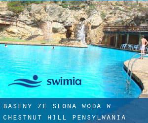 Baseny Ze slona woda w Chestnut Hill (Pensylwania)