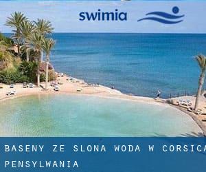 Baseny Ze slona woda w Corsica (Pensylwania)