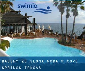 Baseny Ze slona woda w Cove Springs (Teksas)