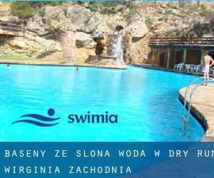 Baseny Ze slona woda w Dry Run (Wirginia Zachodnia)