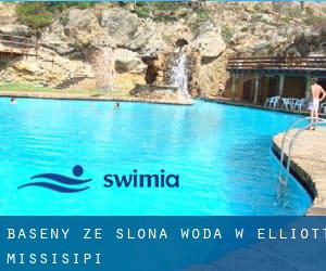 Baseny Ze slona woda w Elliott (Missisipi)