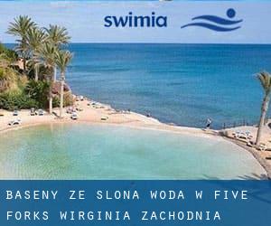 Baseny Ze slona woda w Five Forks (Wirginia Zachodnia)