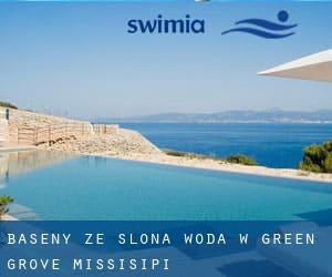 Baseny Ze slona woda w Green Grove (Missisipi)