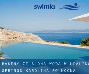 Baseny Ze slona woda w Healing Springs (Karolina Północna)