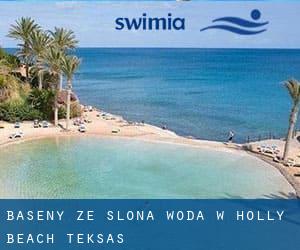 Baseny Ze slona woda w Holly Beach (Teksas)