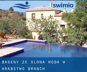 Baseny Ze slona woda w Hrabstwo Branch