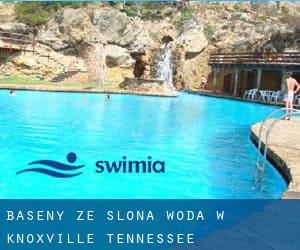 Baseny Ze slona woda w Knoxville (Tennessee)