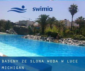 Baseny Ze slona woda w Luce (Michigan)