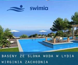 Baseny Ze slona woda w Lydia (Wirginia Zachodnia)