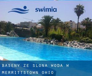 Baseny Ze slona woda w Merrittstown (Ohio)