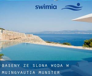 Baseny Ze slona woda w Muingvautia (Munster)