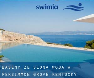 Baseny Ze slona woda w Persimmon Grove (Kentucky)