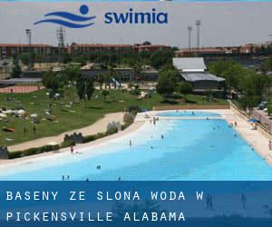 Baseny Ze slona woda w Pickensville (Alabama)