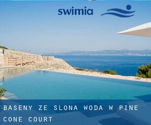 Baseny Ze slona woda w Pine Cone Court